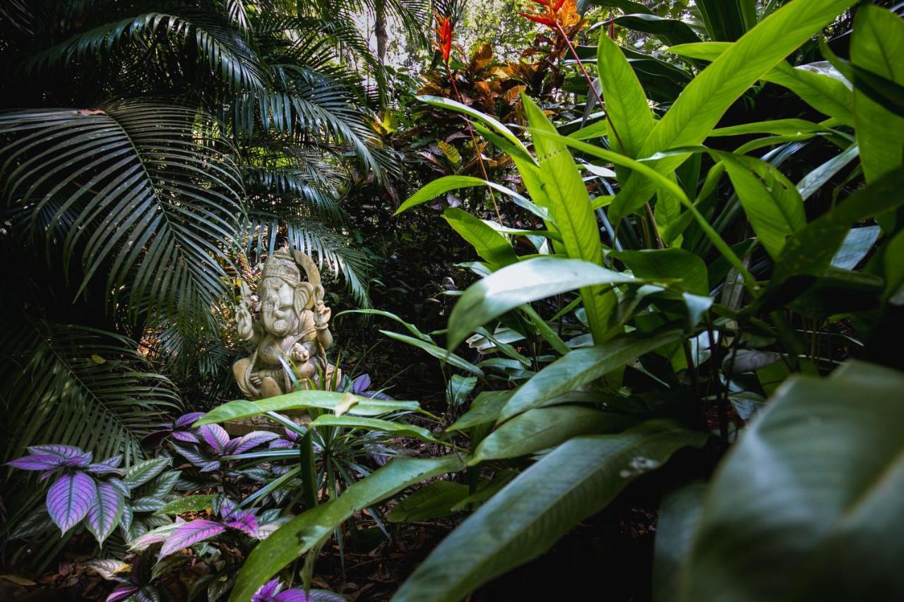 ホテルCasa Susegad マルガオ エクステリア 写真
