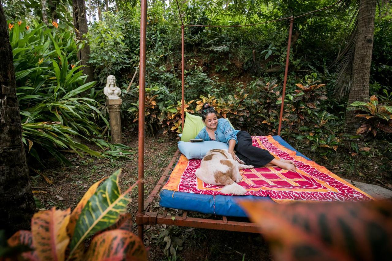 ホテルCasa Susegad マルガオ エクステリア 写真