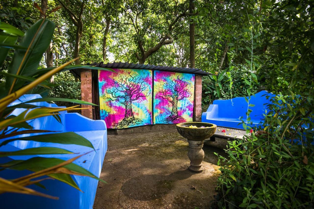 ホテルCasa Susegad マルガオ エクステリア 写真
