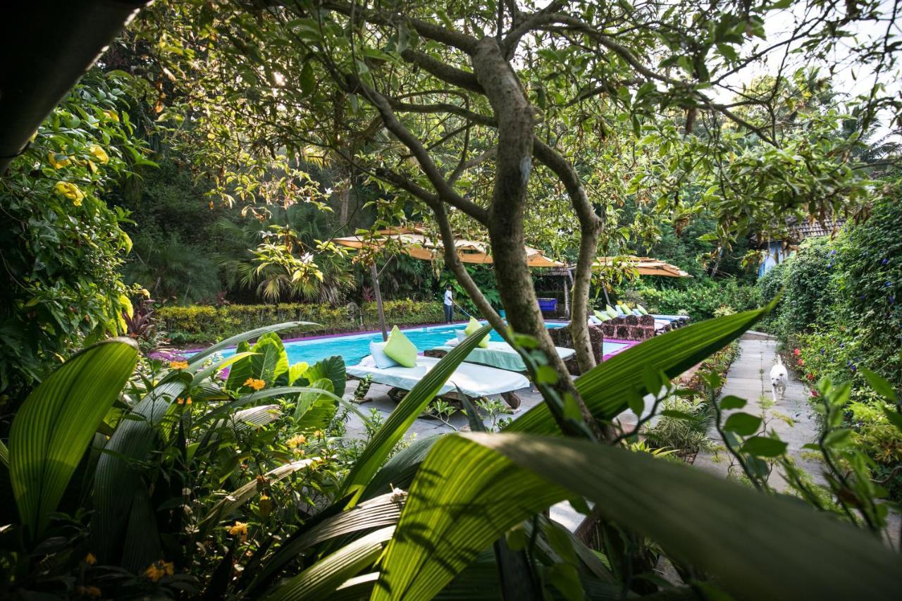 ホテルCasa Susegad マルガオ エクステリア 写真